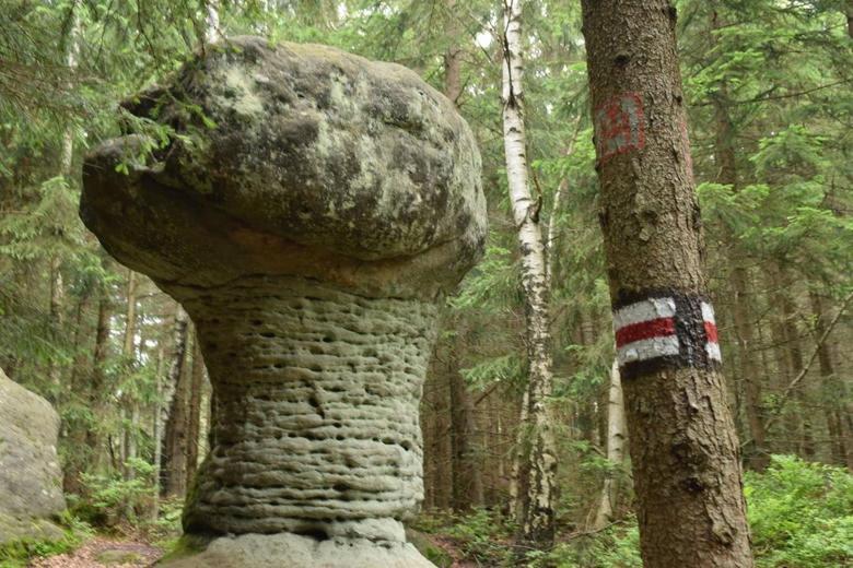 Villasol Polanica-Zdrój Exteriör bild